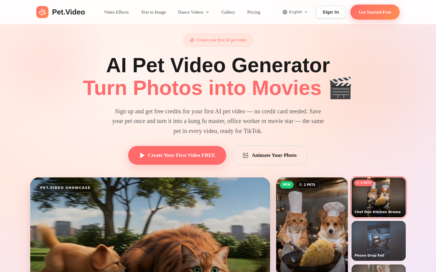 Pet.Video website preview
